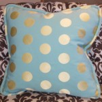Soft Plush Pillow HPIM4949 e1267159175330 150x150 It’s Bout Time for a Pillow Sale!